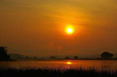 l12597728's profile picture. 