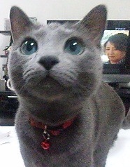 41歳 SE. 
Mac,Objective-C で遊びつつ仕事ではJavaばかり。。。

趣味はTOHOシネマでレイトシアターでまったりするのが好き。