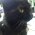wishmaster (@wishmaster39) Twitter profile photo wishmaster (@wishmaster39) Twitter profile photo