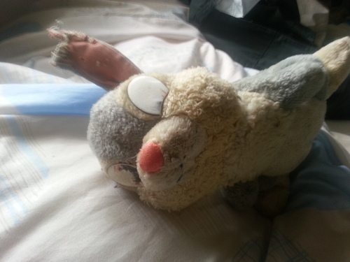 noidea_longie's profile picture. 