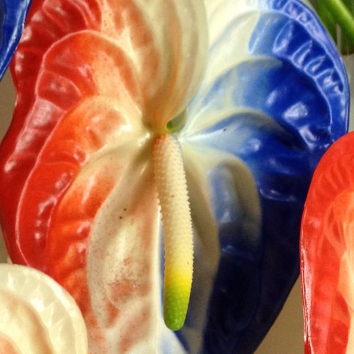 JackZanen's profile picture. 