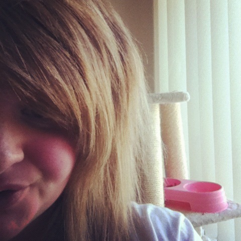 ShortStack | HFH | MyBuddies | LollyPops | Music | Spiderman. is all i like. I am also mentally dating Andrew Clemmensen.