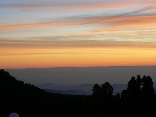 balbitro's profile picture. 