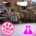 動物大好き。Queenは小学生から♡家族は夫と成人済息子、’’20.11.04生まれの男女きょうだい猫。52歳で歯科衛生士国家試験合格。スタートレック、中村吉右衛門、矢沢永吉、矢野顕子、江頭2:50推し。紅茶パスタLOVE。進撃の巨人でコスプレデビュー。大卒資格欲しー！