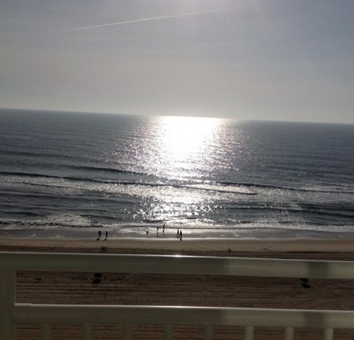 PRTHayden's profile picture. 