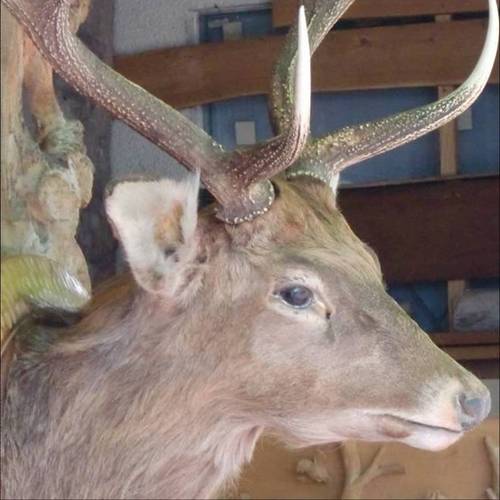 それなりに