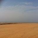 Alison Bunn - @seashuffle - Twitter