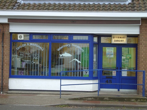 ExoticAnimalVet's profile picture. We are a small animal practice, with a special interest in exotic species. Our vets have many years of experience and a keen knowledge of  a range of species.