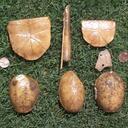 Jason Mann - @troyarchaeology - Twitter