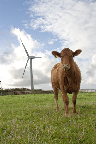 Two Vestas wind turbines generating clean and sustainable electricity since 2008, for more info - http://t.co/QGlWM5XzNc