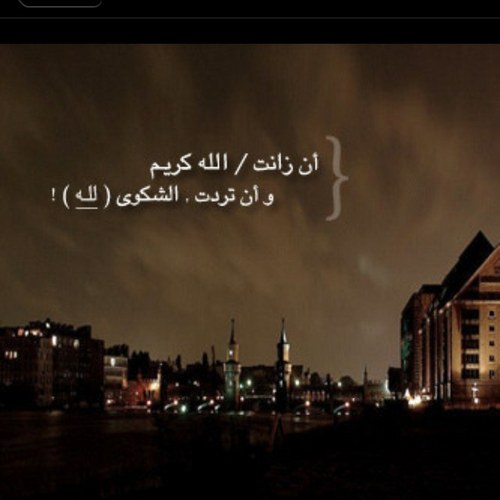 alshaikah's profile picture. 