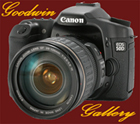 Photographer in Derby