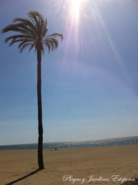 Las mejores playas y jardines, Estepona, un pueblo con encanto