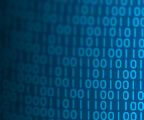 dulcet_bg's profile picture. Project/Programmes