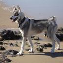 Derek Sadler - @dels202 - Twitter