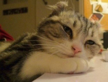 772933970jun's profile picture. a student