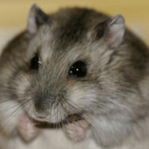 ms_06s22's profile picture. 