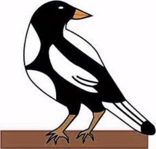 MagpieMatthew's profile picture. 