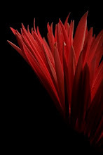 TastyIndieMusic's profile picture. Finding awesome indie music, and posting songs for your ears with videos for your eyes... The music speaks for itself. https://t.co/SIvOuEQKJk