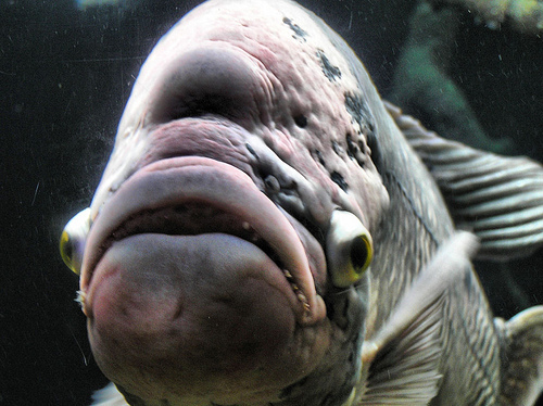 rockhead23's profile picture. 