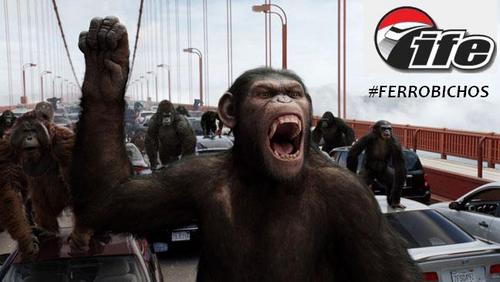 Ferrobichos's profile picture. Somos una organizacion pendiente de correr en el @ifetren y de NO hacer cola. Si viajas con nosotros  - #PuestoAsegurado, #Sonido y te compramos un #MinuBuum.