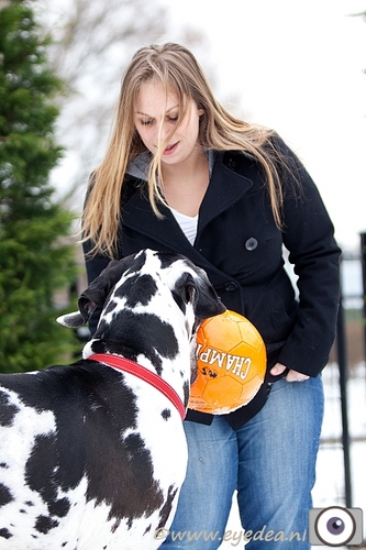 Werkzaam op de redactie van Me and My Dog magazine