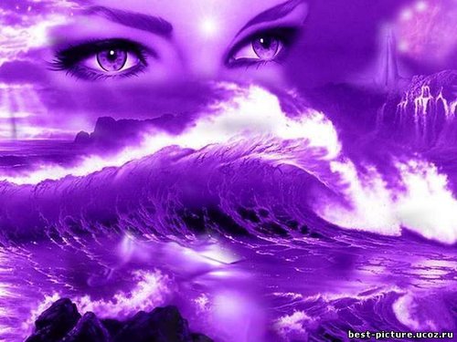 nizam1mahmudov's profile picture. 