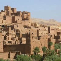 Paula Kiury (@paulakiury) 's Twitter Profile