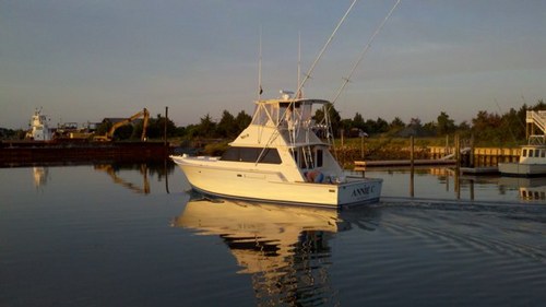 WhitBrown88's profile picture. Managing Partner at Wigeon Capital Partners.