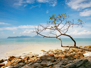 bee2432's profile picture. to ∞
and beyond