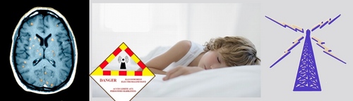 AUPHumanRights's profile picture. Citizens in heart of Paris fighting to create legislation to protect children from dangerous mobile tower emissions. Tweets in English+Francais. #ruelobineau