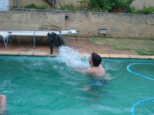 njrh82's profile picture. Various sporting opinions and other rubbish which doesn't belong elsewhere