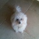 Barbara Liddle - @BarbaraLiddle - Twitter