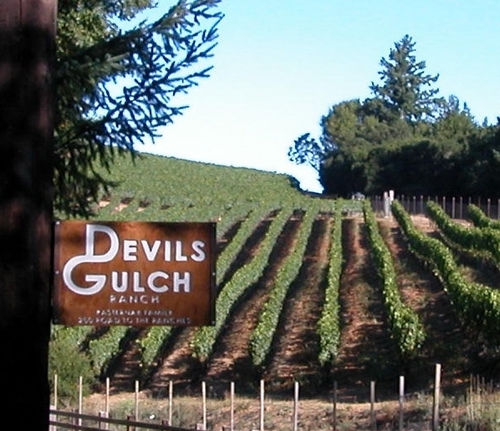 Diversified family farm featuring Pinot Noir Winegrapes, pork, lamb, rabbit and Heritage poultry. Check out our webstore. https://t.co/IU3icfDIwQ