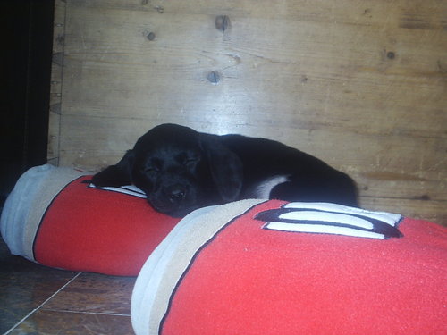 zurich68's profile picture. 