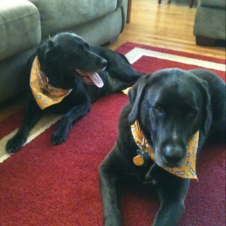 Mom2GEN's profile picture. 