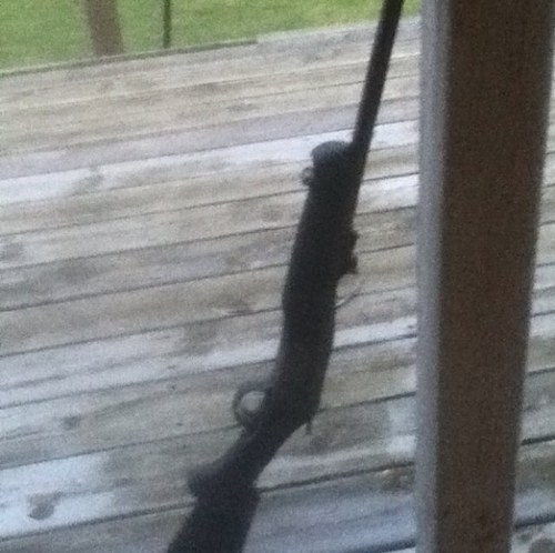 BrettOsterman's profile picture. xcountry says I've got it goin on