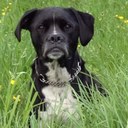 Eric & Ellen Jansen - @EricEllenJansen - Twitter