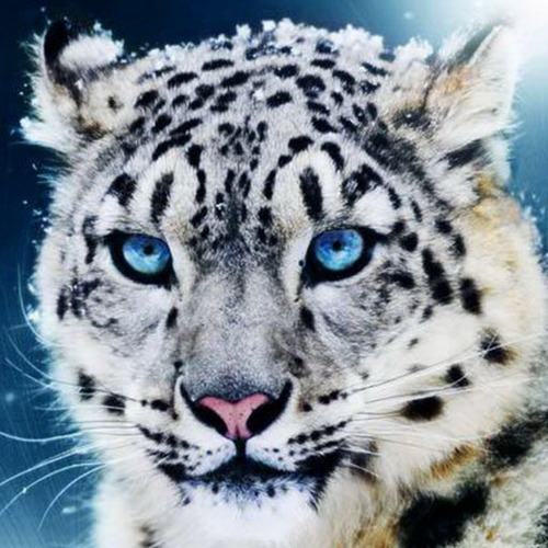 cristserantes's profile picture. decoradora de interiores y diseñadora de muebles