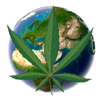 Dedicated to bringing you the best marijuana news, quotes, facts, pictures, recipes and randomness!