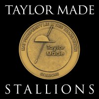 Taylor Made Stallions(@TMStallions) 's Twitter Profile Photo