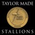 Taylor Made Stallions (@tmstallions) Twitter profile photo Taylor Made Stallions (@tmstallions) Twitter profile photo