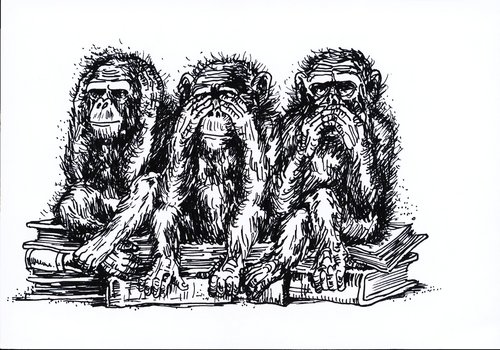 LosMonosSabios's profile picture. Asociación Educativa Cultural. El Doctoral, Gran Canaria.Competencias para la Vida. Mentes como monos inquietos que hacen el esfuerzo de filtrar lo que reciben.