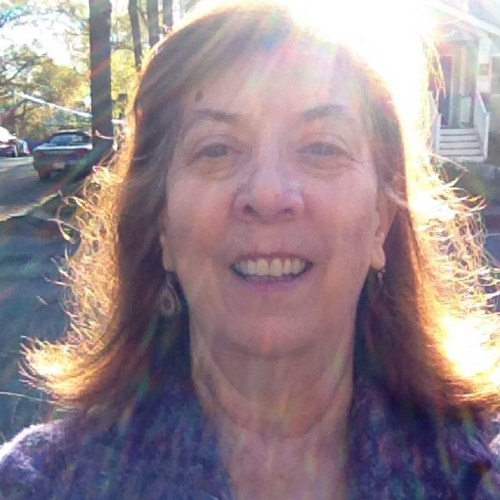 Mary2Dell's profile picture. Animal supporter, cat lady, orchestral musician (retired), Librarian, arts supporter, baseball fan, lapsed runner, bicycle rider for fun.