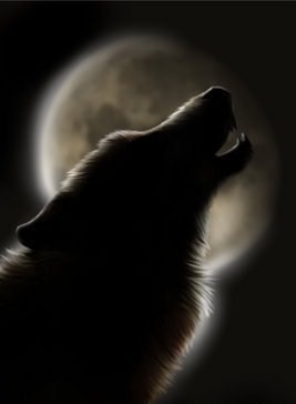 I am who I am, I strive to make a difference everyday even in small ways, pay it forward, be the shift,Native rights advocate,twi-fic writer, avid photographer,