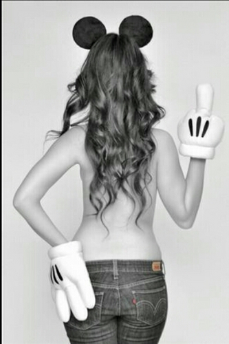 Follow= Follow back x
