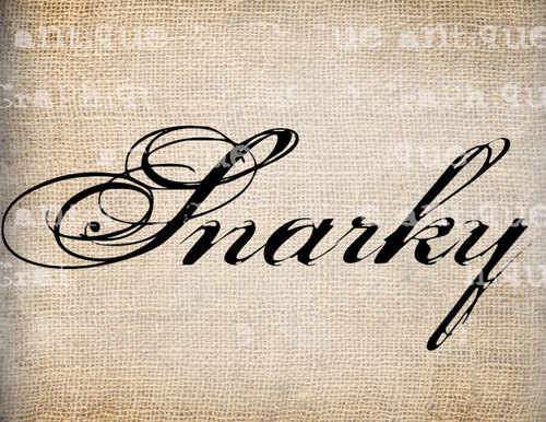 SnarkyReader's profile picture. Anonymously -- yet not always politely -- reviewing queries for a literary agency. Works that include  'The good, the bad and WHAT WERE YOU THINKING???'