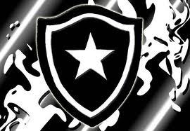 botafogo os jogadores não sofrem porque eles são vitoriosos em qual quer estadio no brasil...