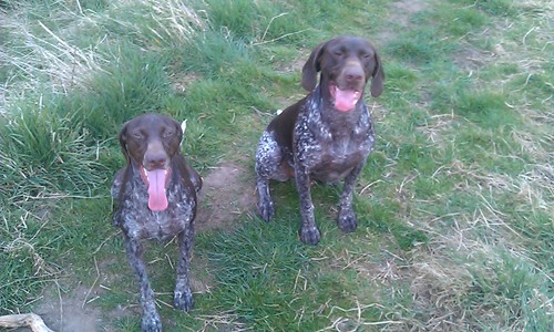 guitarlegend51's profile picture. if you are going to see your life flash before your eyes, make sure its worth watching. Glasgow Rangers/ Aston Villa God Save The Queen