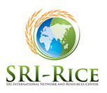 The SRI International Network and Resources Center (SRI-Rice)  is dedicated to advancing global knowledge of the System of Rice Intensification.